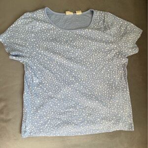 Levi's Blue and White Short Sleeve Tee